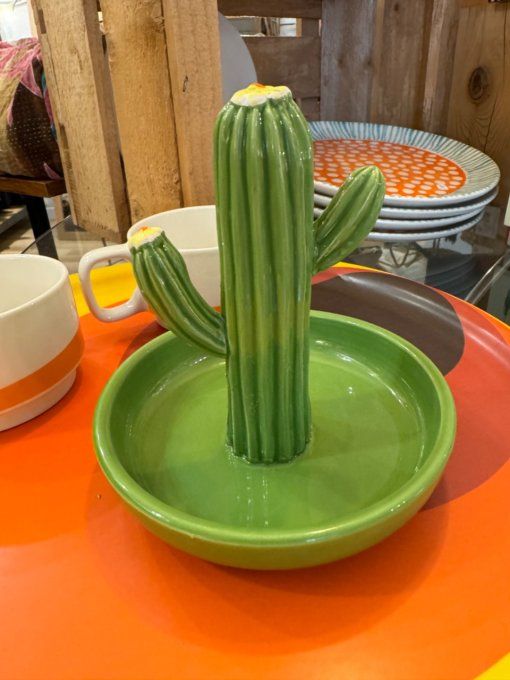 Vide poche Cactus